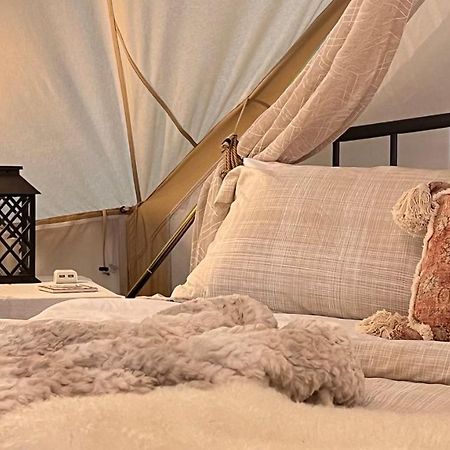 Shenandoah Valley Glamping - Amazing Views - Farm Edinburg Exteriör bild