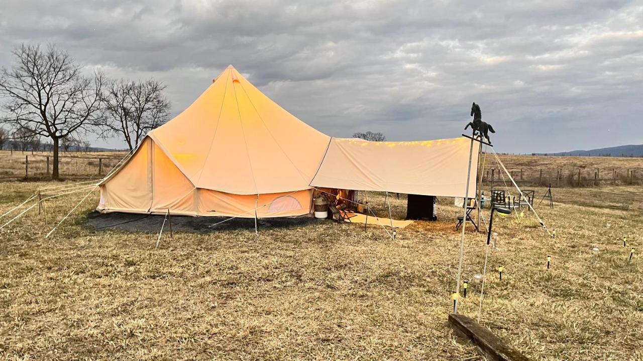 Shenandoah Valley Glamping - Amazing Views - Farm Edinburg Exteriör bild