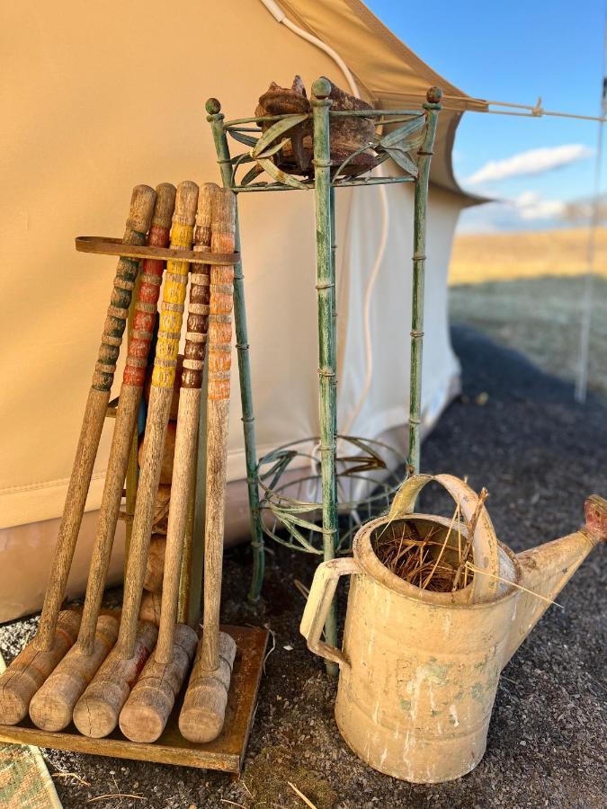 Shenandoah Valley Glamping - Amazing Views - Farm Edinburg Exteriör bild