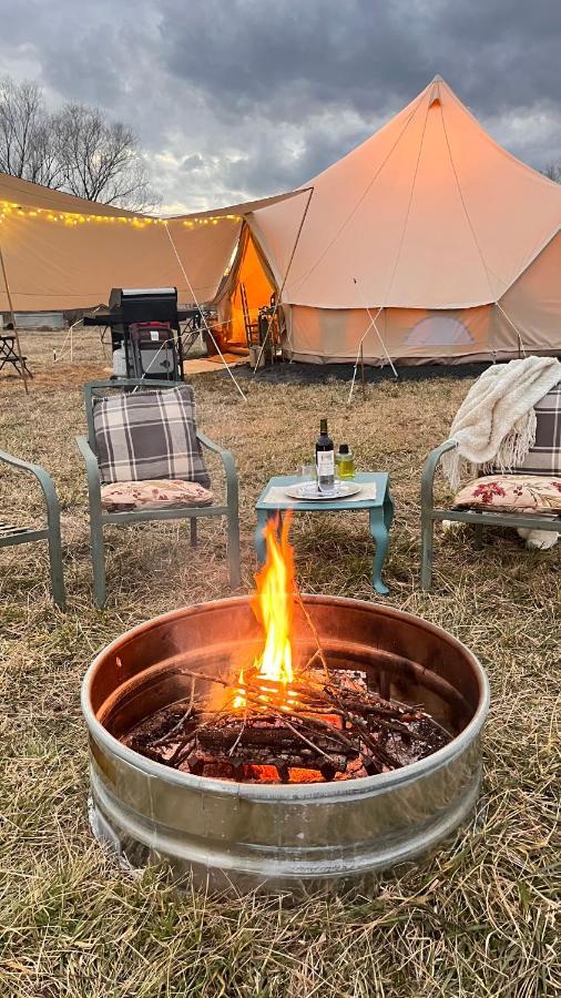 Shenandoah Valley Glamping - Amazing Views - Farm Edinburg Exteriör bild