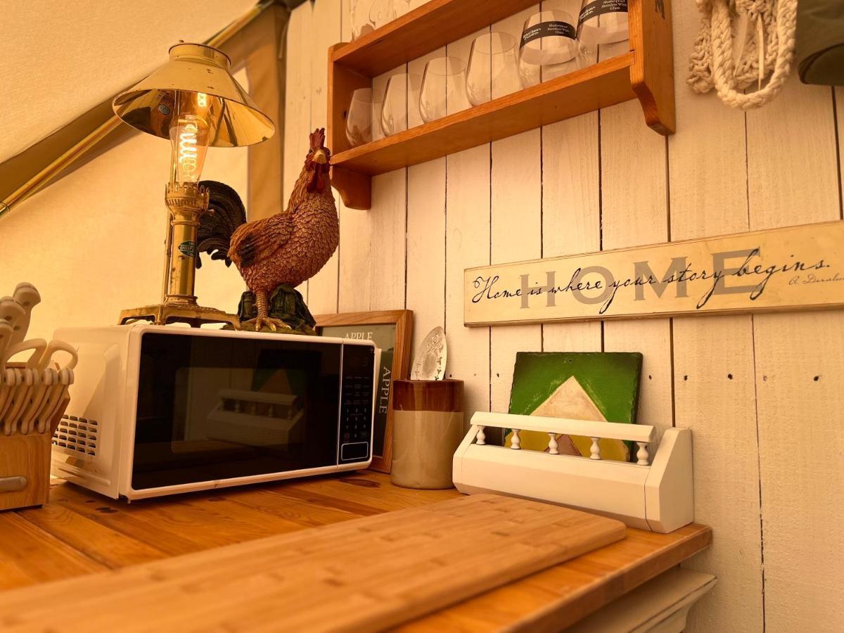 Shenandoah Valley Glamping - Amazing Views - Farm Edinburg Exteriör bild