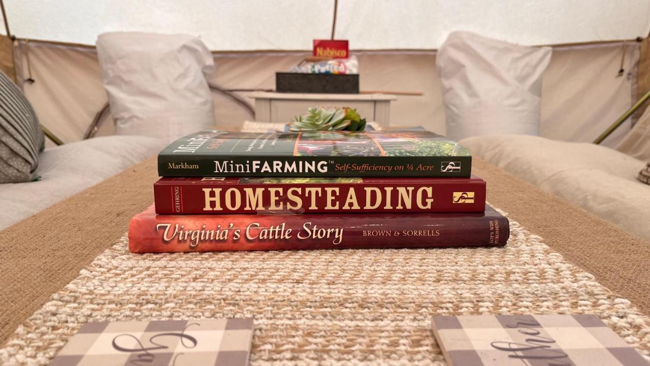 Shenandoah Valley Glamping - Amazing Views - Farm Edinburg Exteriör bild