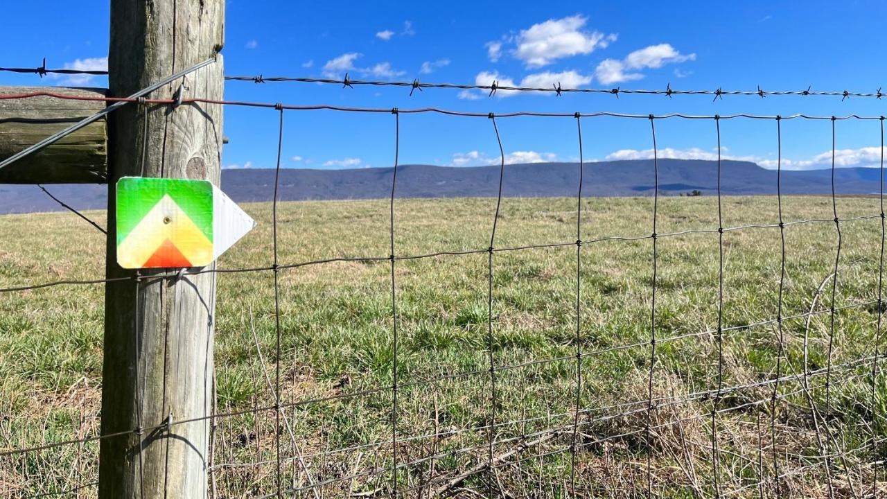Shenandoah Valley Glamping - Amazing Views - Farm Edinburg Exteriör bild