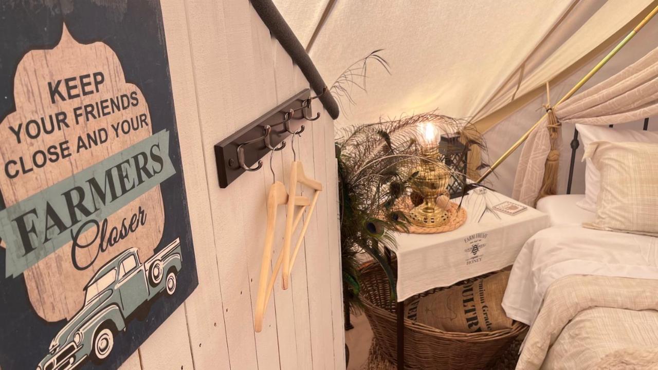 Shenandoah Valley Glamping - Amazing Views - Farm Edinburg Exteriör bild