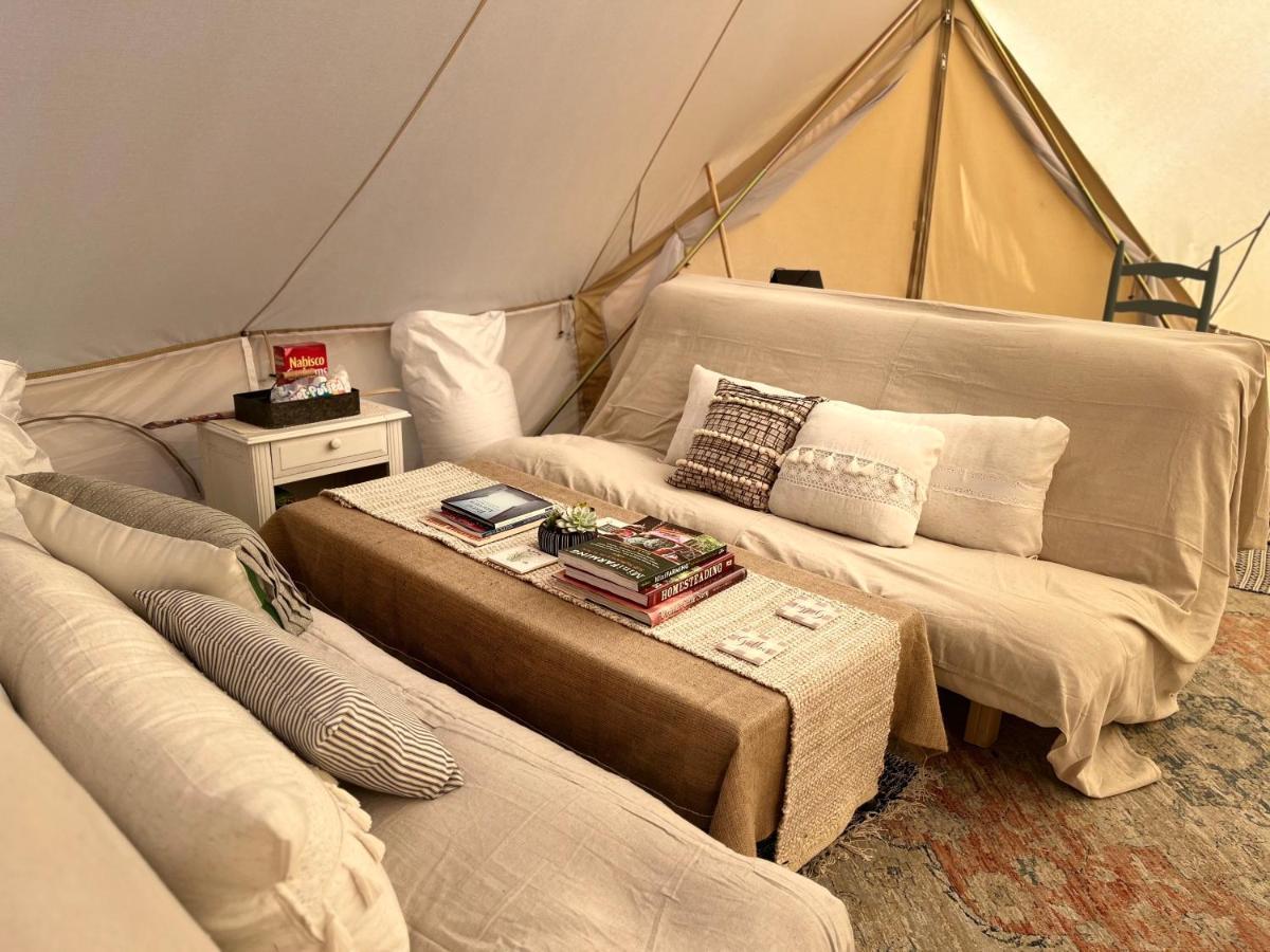 Shenandoah Valley Glamping - Amazing Views - Farm Edinburg Exteriör bild