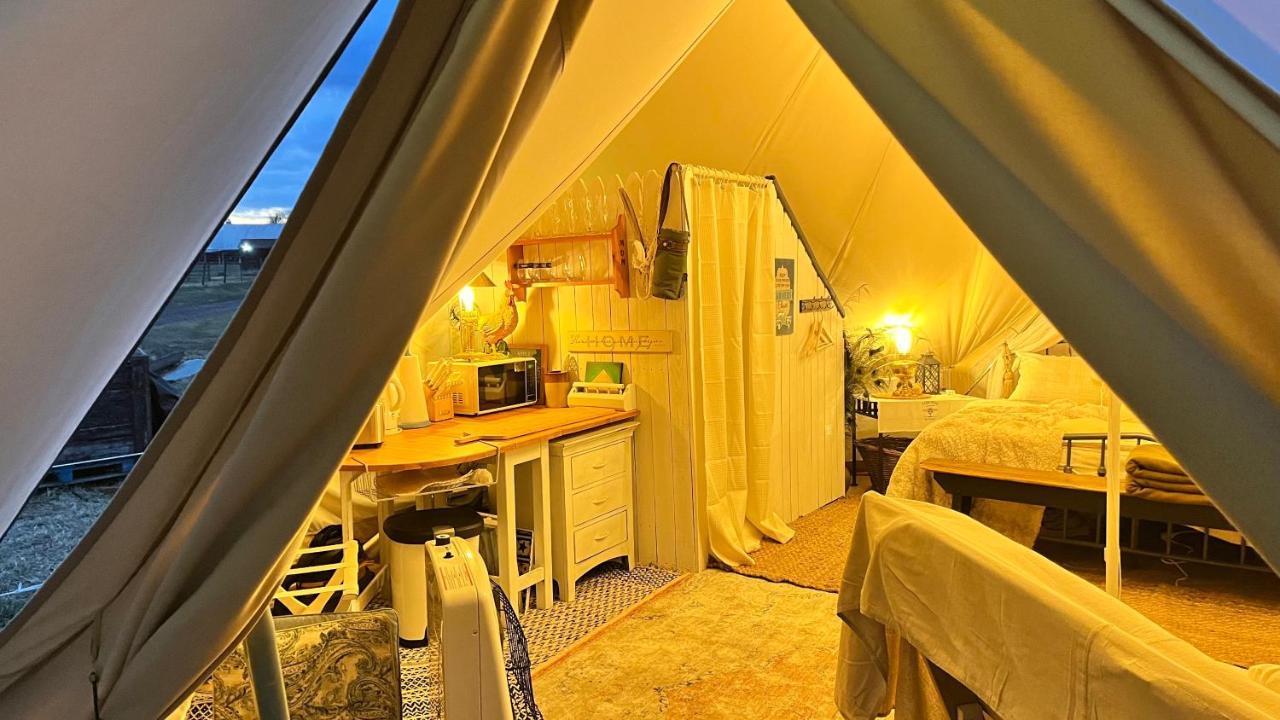 Shenandoah Valley Glamping - Amazing Views - Farm Edinburg Exteriör bild